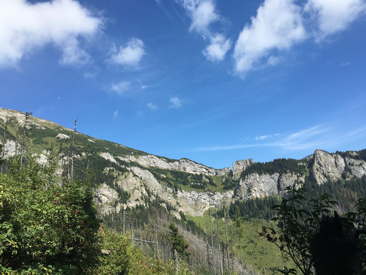 Central Apartmany Vysoke Tatry Bagian luar foto