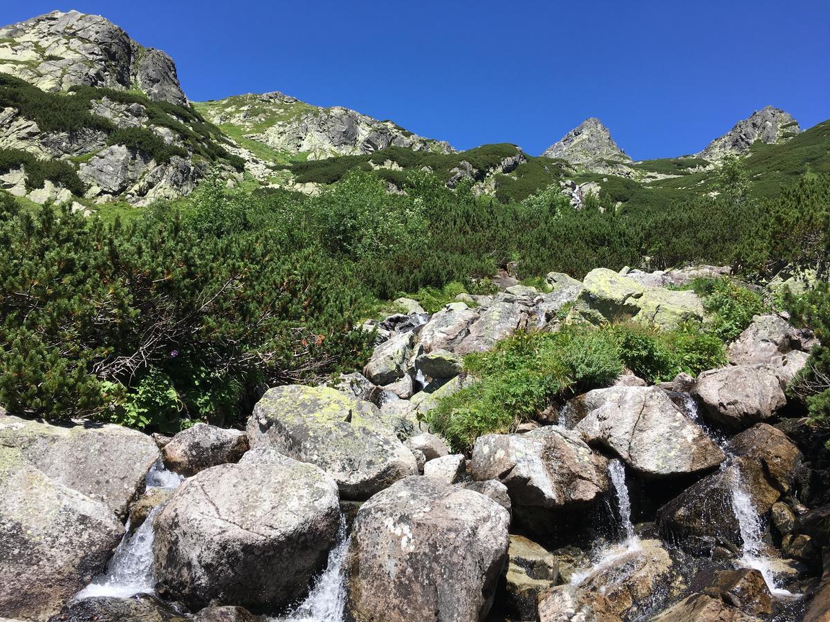 Central Apartmany Vysoke Tatry Bagian luar foto